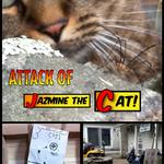 Jazmine the cat discovers discovers some traveling workers.